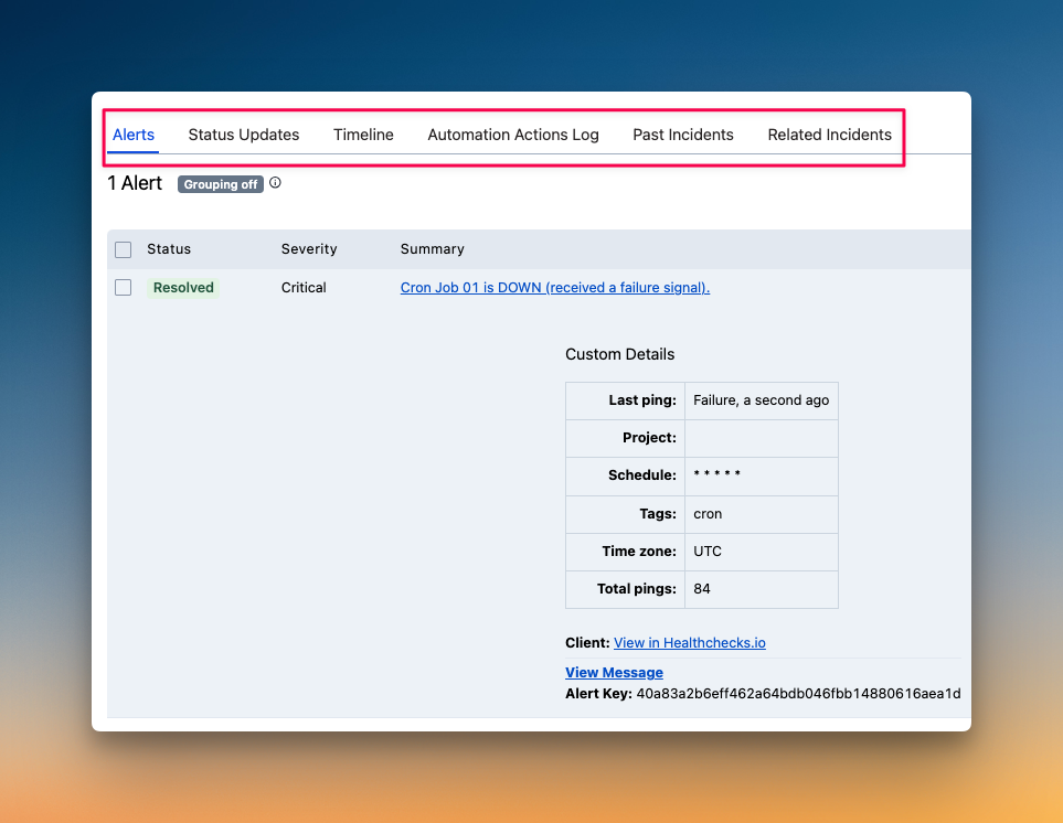 Separate logs for alerts, status updates, etc on PagerDuty