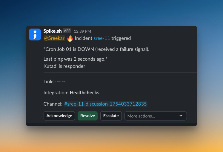 Example of an alert on Slack